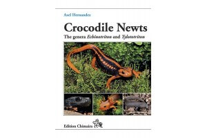 Crocodile Newts - The Primitive Salamandridae of Asia